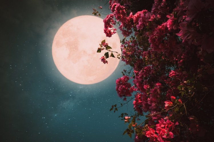 May’s full flower moon: Πανσέληνος Μαΐου, το εντυπωσιακό  «Φεγγάρι των λουλουδιών»!! Συμβολίζει την αναγέννηση της φύσης & σηματοδοτεί την κορύφωση της ανθοφορίας!!