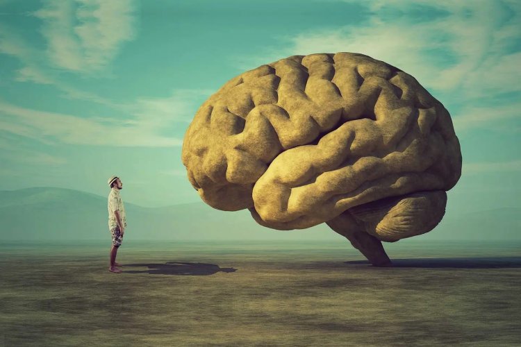 People whose brains work faster: Ποιος έχει τελικά μυαλό ξυράφι!! Η επιστήμη μίλησε!!