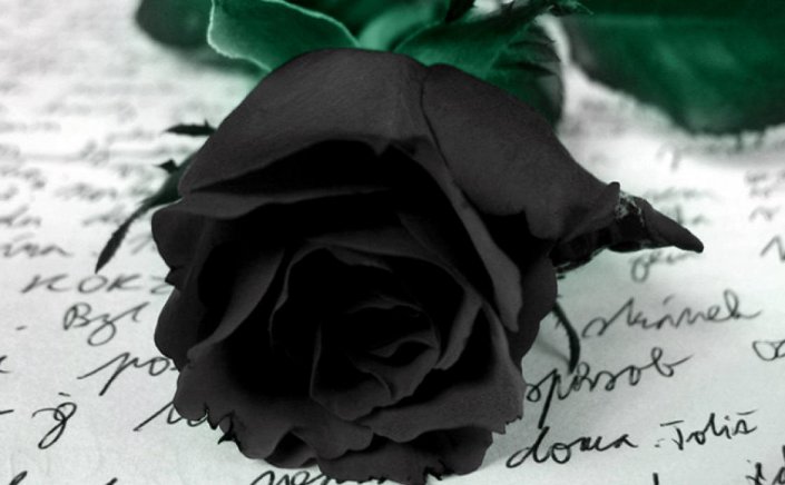 Notable Death: Συλλυπητήριο μήνυμα της Ένωσης Κυκλαδικού Τύπου για τον αδόκητο θάνατο του διακεκριμένου στελέχους της Αντώνη Παπακωνσταντή