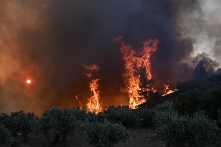 Chios wildfire: Φωτιά στη Χίο!! «Απελπιστική η κατάσταση, με φλόγες 30 μέτρα» - Μάχη να κοπεί το μέτωπο πριν τα μαστιχόδεντρα!!