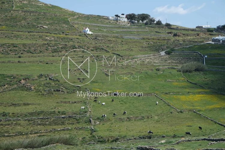 Digital Cadastre: Τα βήματα του εξωδικαστικού για να ξεμπλοκάρουν ακίνητα που εμφανίζονται ως δασικά και κινδυνεύουν να καταγραφούν ως «δημόσια» στο Κτηματολόγιο!!