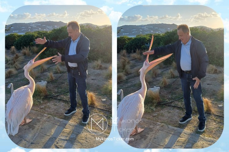 Xpήστos Bεpώvηs: Η μέριμνα και η προστασία για τα ζώα δεν είναι μόνο πράξη αγάπης, αλλά δείκτης πολιτισμού και ουσιαστικής ευθύνης όλων μας