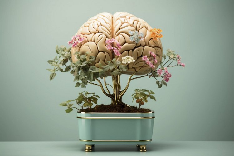 Memory & brain health: Ο πιο απλός τρόπος για καλή μνήμη και υγεία του εγκεφάλου [Harvard]