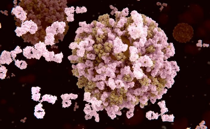 Influenza: Ο Τζανάκης, για τις ανησυχίες που προκαλεί το νέο υποστέλεχος «Κ» της γρίπης Α & τα ερωτηματικά για την αποτελεσματικότητα των εμβολίων