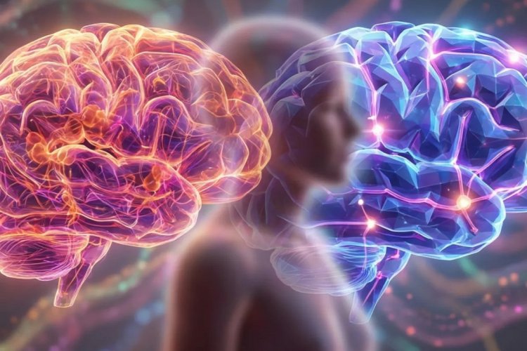 Brain isn’t «adult» until 32: Ο εγκέφαλος ωριμάζει στα… 32!! Οι 5 φάσεις που αλλάζουν όσα ξέραμε [Έρευνα]