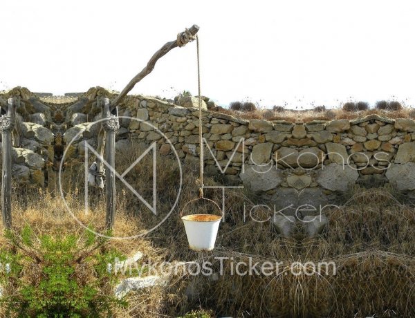 Mandatory Plot Clearing: Ξεκινά ο Υποχρεωτικός Καθαρισμός Οικοπέδων!! Προθεσμίες & Πρόστιμα!!