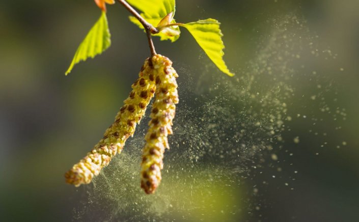 Spring Pollen Allergy: Εποχικές αλλεργίες και γύρη!! Πώς να προστατέψετε το σπίτι σας την Άνοιξη!!