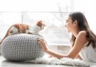 Feline Domestication: Παγκόσμια Ημέρα Γάτας! Το αινιγματικό κατοικίδιο που μας «επέλεξε» πριν 10.000 χρόνια!