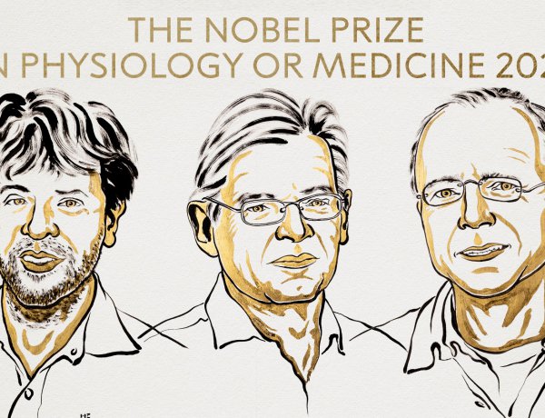 Nobel Prize Medicine 2026 Optogenetics: Το Νόμπελ Ιατρικής 2026 στους Karl Deisseroth, Peter Hegemann & Georg Nagel, τιμώμενοι για την επανάσταση της Οπτογενετικής στον εγκέφαλο - Πώς άλλαξε τη Νευροεπιστήμη